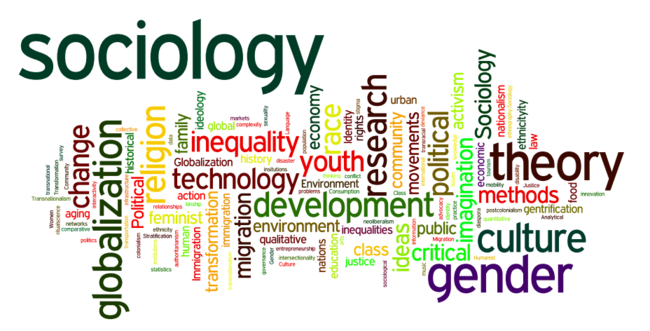 DEPARTMENT OF SOCIOLOGY DEPARTMENT OF SOCIOLOGY